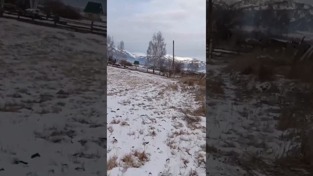 участок в горном Алтае Усть-Кокса