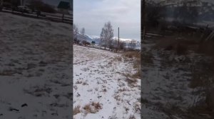 участок в горном Алтае Усть-Кокса