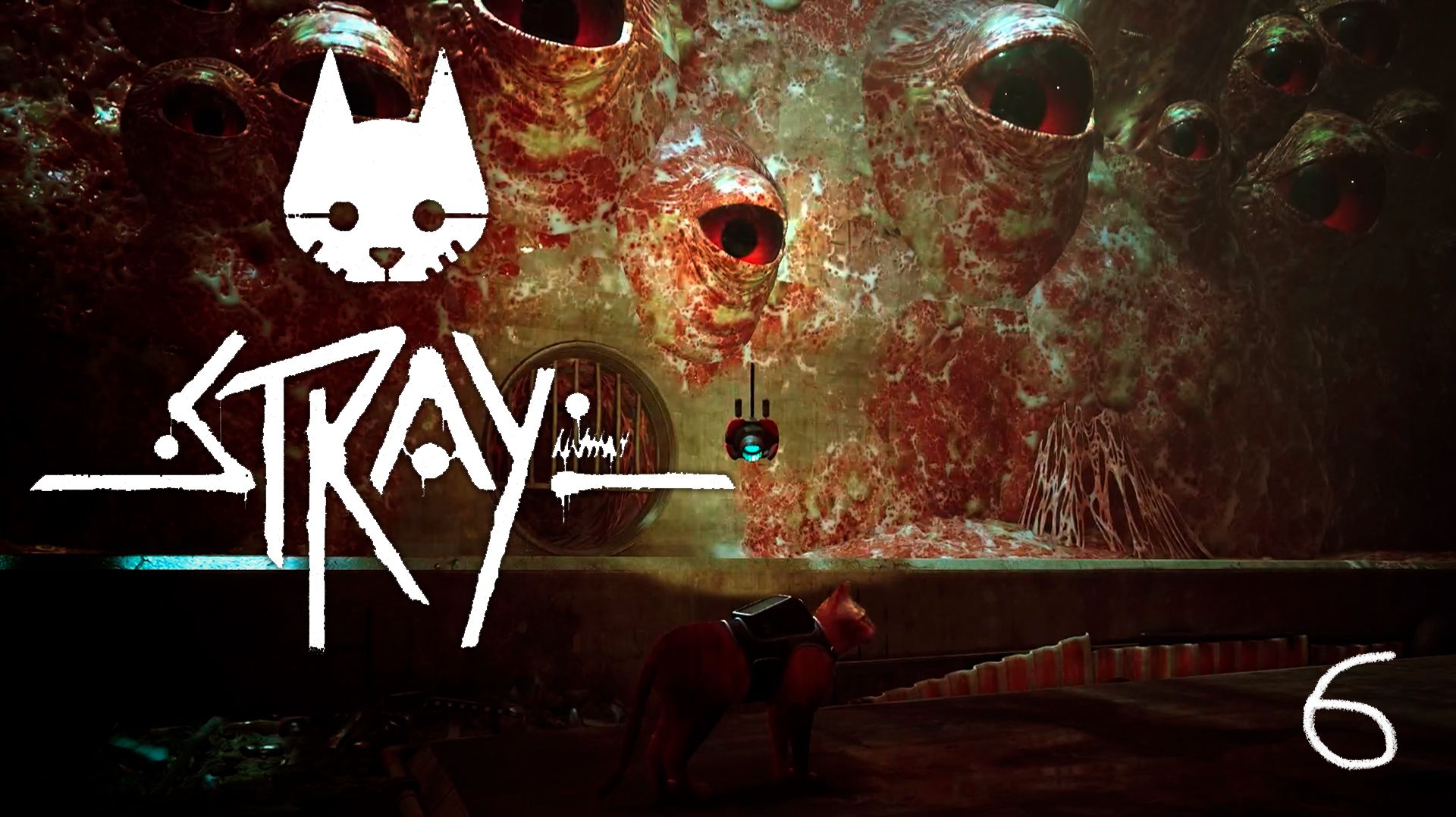 Огромные глаза | Stray 🐈 6 прохождение
