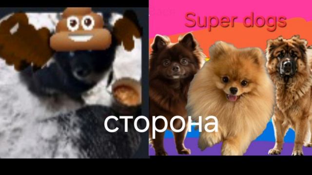битва супер догс VS говно