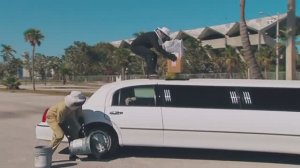 Чудаки (Jackass): Фильм второй: Улей в лимузине