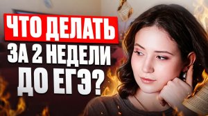 Как выучить ВСЁ за 2 недели до ЕГЭ по литре 2026? Алгоритм ПОДГОТОВКИ к ЕГЭ по литературе за 14 ДНЕЙ