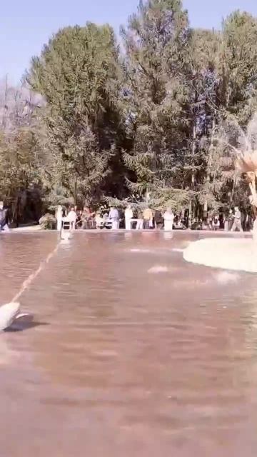 Праздничное мероприятие на фонтане