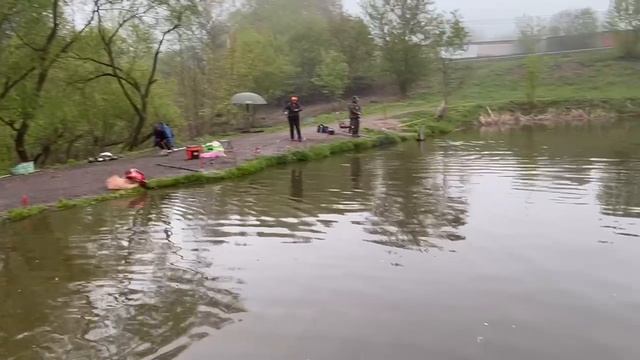 12.05.26 г. РК Волна. смотреть онлайн
