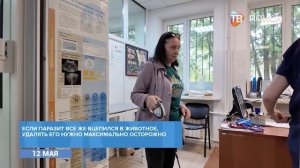 В г. о. Клин животных атакуют клещи