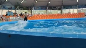 Скоро детки на море. Просим  принять участие.
