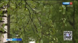 Нижегородская область находится во власти дождевого фронта
