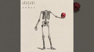 Bones