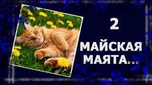 Майская маята. Длинные выходные. #вязание #handmade