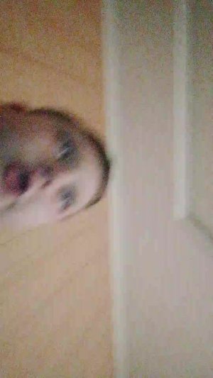 ядисон