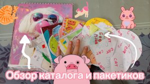 ❤️обзор нашего каталожика🔥пакетики из всех коллекций🫠переходите и смотрите ⬆️