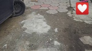 Меня преследует сиреноголовый. Он хочет подружиться?