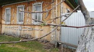 Состояние сада после вчерашнего минус