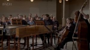 Bach - Concerto in A minor BWV 1065 Netherlands Bach Society