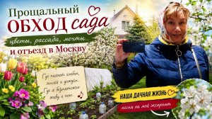 Бросили сад с незавершёнными делами… И под новую песню - в Москву