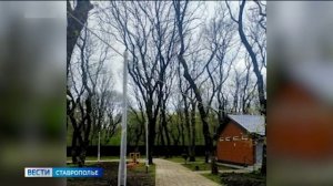В Ставрополе обновляют инфраструктуру детского лагеря «Лесная поляна»