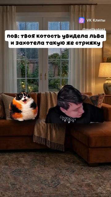 Котость