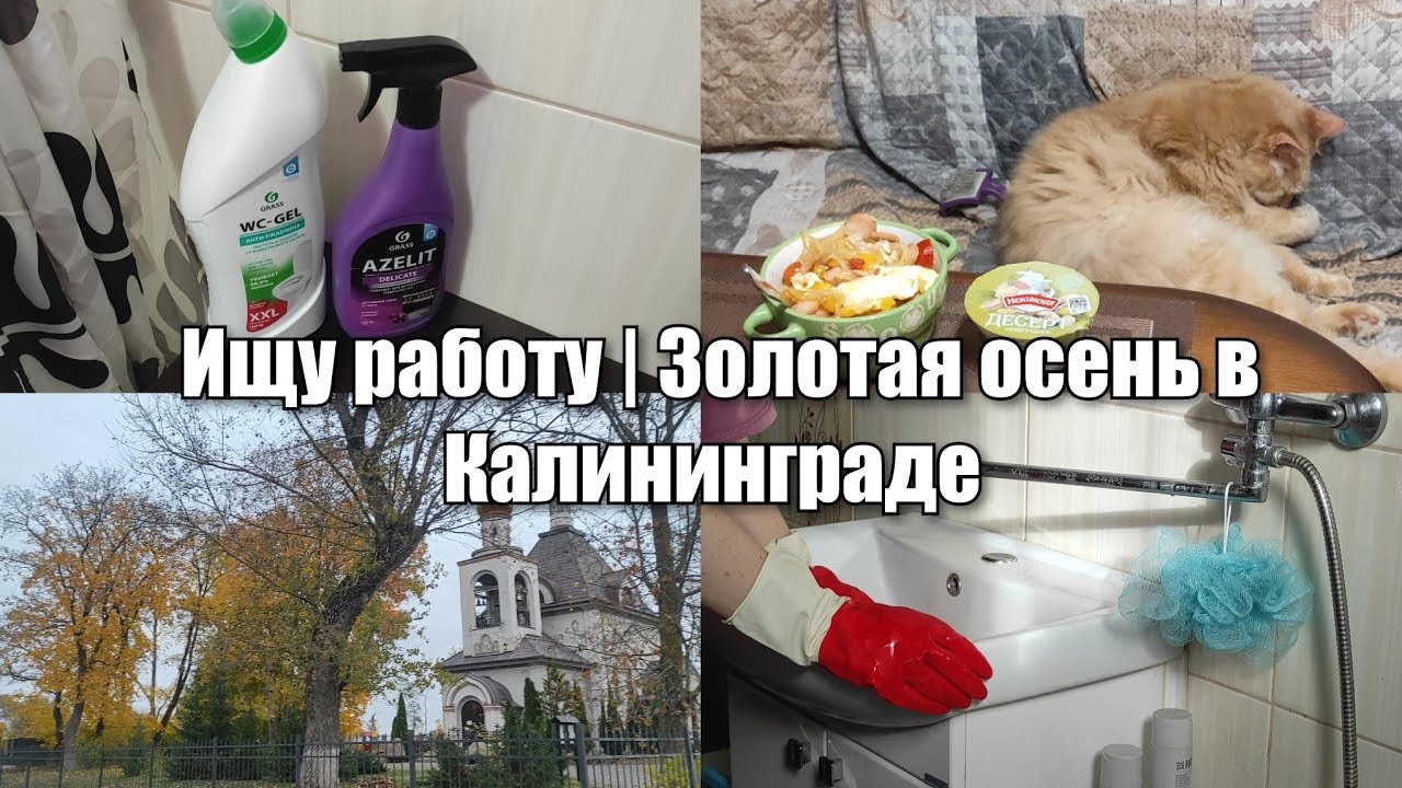 АРХИВ 2024 | Vlog: в поисках работы | вышла на стажировку | 28-29.10.2024