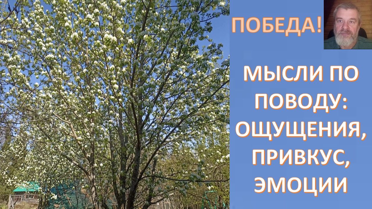 ОПТИМИЗМ БУДУЩЕГО И ПЕССИМИЗМ НАСТОЯЩЕГО. ПРОЕКТ "ПРИРОДНАЯ СИЛА" КАК ЛОКОМОТИВ ПРОГРЕССА