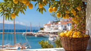 🇮🇹 Italian Vibes & Mediterranean Music 🏡🌊 Traditional Italian Music & Mediterranean Coast Views