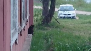 ....И продолжение 🤭😃