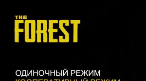 Мой первый стрим