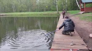 Рыбалка на нижнем водоёме. Клёвое место, Лосиный остров.