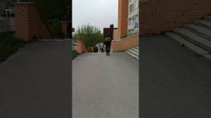 Миасс утром