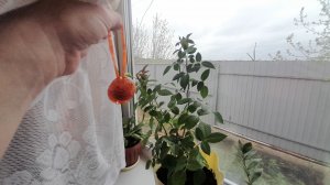 На❇️Майские..Похолодало..Будни🌱 деревенской🫠горожанки/Учиться всегда надо/Книги📚для мозгов😄#рек