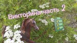 Викторина  часть2
