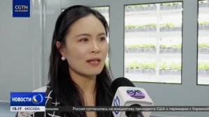 Новая интеллектуальная агрофабрика в Китае позволяет выращивать клубнику круглый год