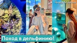 Я встретила Нерпочек! 🦭