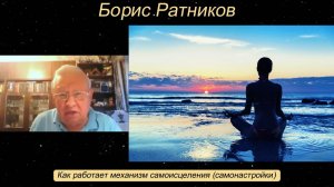 Борис Ратников - Как работает механизм самоисцеления (самонастройки).