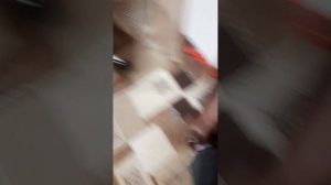 1000000403.mp4
