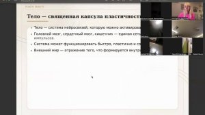 пластичная реальность