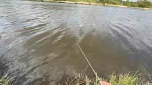 Наловил на мормышку ведро рыбы меньше чем за 2 часа