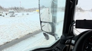 Месяц май, опять зима...