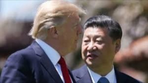 Трамп вылетит в Пекин 12 мая для переговоров с Си Цзиньпином