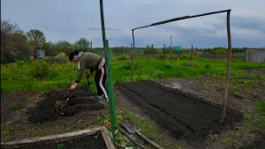 ГОВОРЮ НЕ БУДУ И ТАК КАЖДЫЙ ГОД! БАБЬИ ХЛОПОТЫ