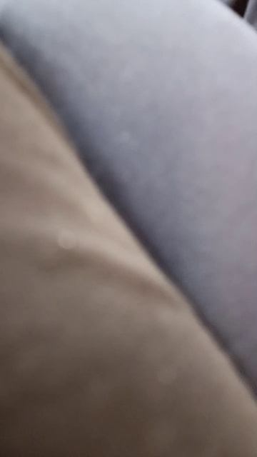 12-05-2026