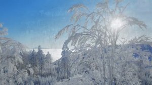 15 самых популярных классических мелодий 🎶 Моцарт, Бетховен, Шопен, Вивальди   Рассла