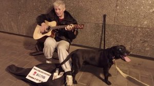 Батька Атаман Свин - Андрей Панов 🎸 Yamaha Иван Соколов и Пёс 🐕 Чибо Моя Жизнь Кино 🎬 Музей Псов