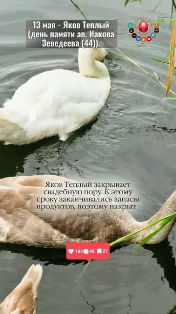 На Якова Теплого закрывается пора...