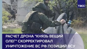 Расчет дрона «Князь Вещий Олег» скорректировал уничтожение ВС РФ позиций ВСУ