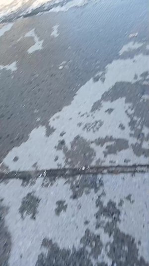 всем хааай