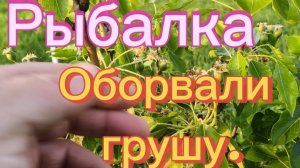 Рыбалка.Оборвали грушу