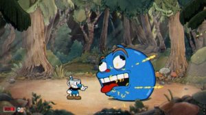 Cuphead - Гуппи де гранд