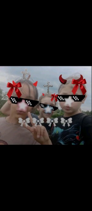 пдлмл