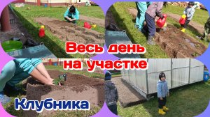 Целый день на участке,сажаем,поливаем и болтаю,жалуюсь  Часть 3
