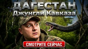 ДАГЕСТАН! СТРАНА ГОР! Что Скрывают Джунгли Кавказа?